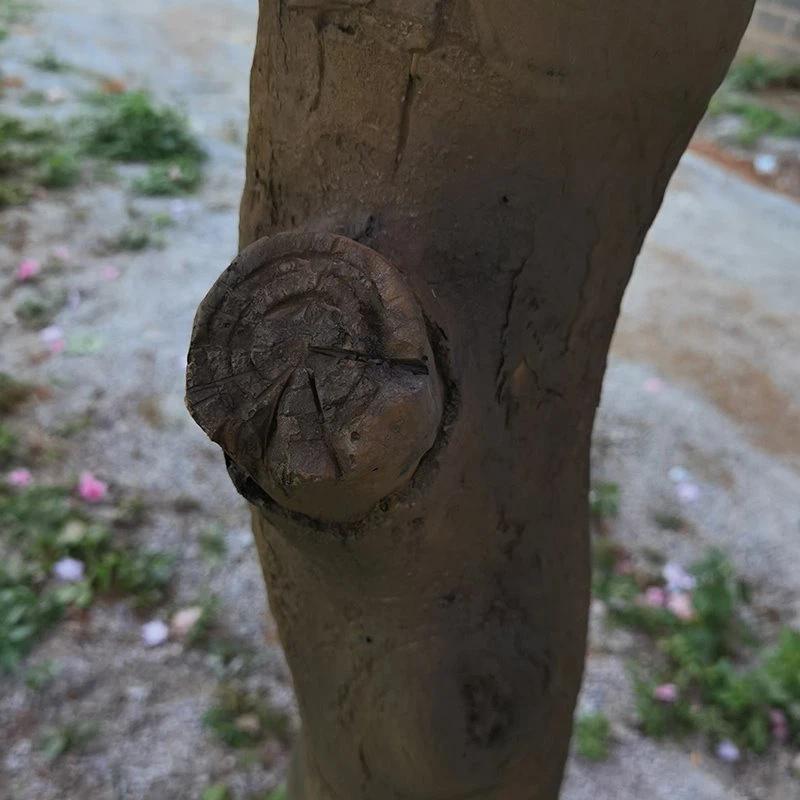 Fake Cherry Blossom Tree trunk
