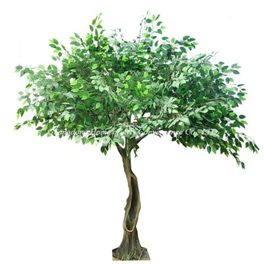 Δέντρο Faux Ficus