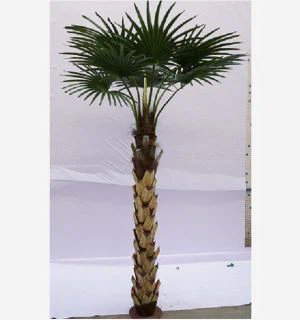 Τεχνητό Fan Palm Tree για Διακόσμηση