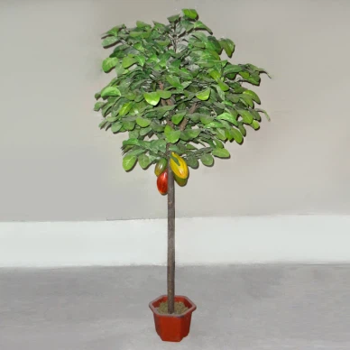 Χειροποίητο δέντρο κακάο από φυσικό ξύλο