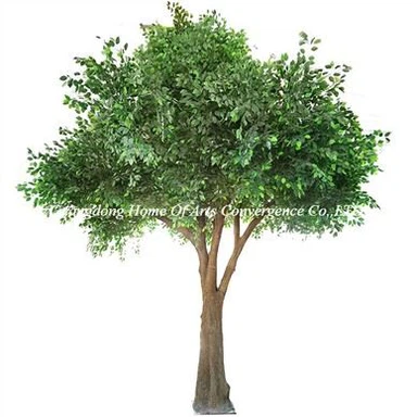 Μεγάλο ψεύτικο δέντρο Ficus 6m